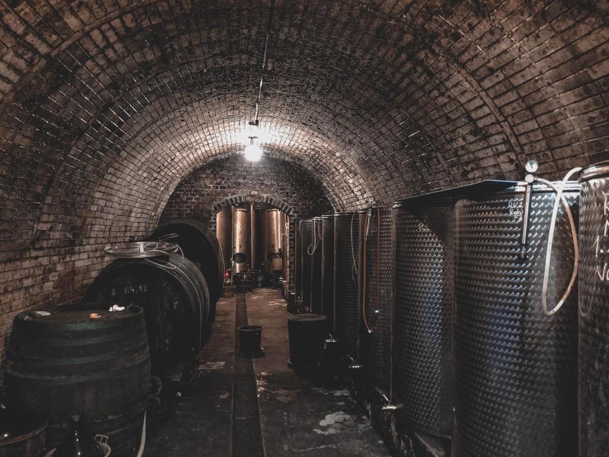 Vinox Winery Villa Vinica Luaran gambar