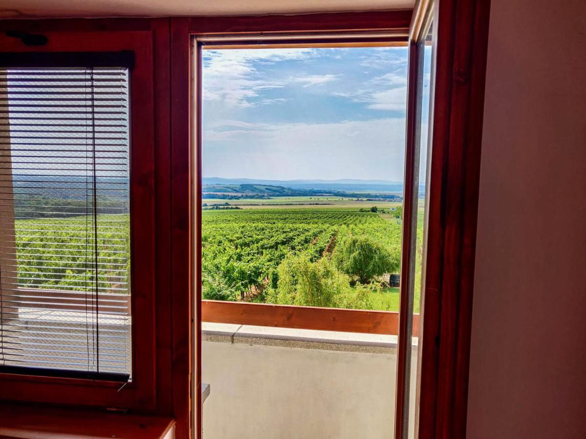 Vinox Winery Villa Vinica Luaran gambar