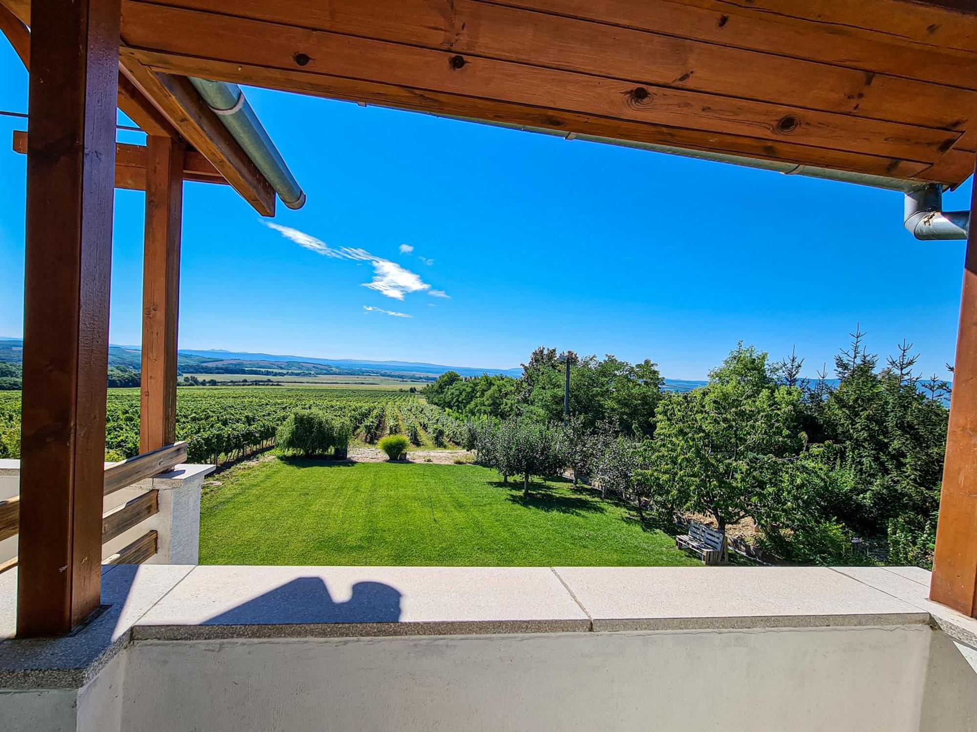 Vinox Winery Villa Vinica Luaran gambar